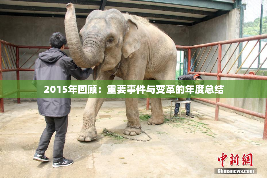2015年回顾：重要事件与变革的年度总结