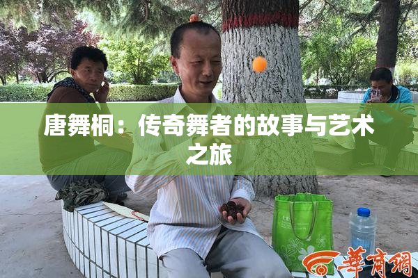 唐舞桐：传奇舞者的故事与艺术之旅