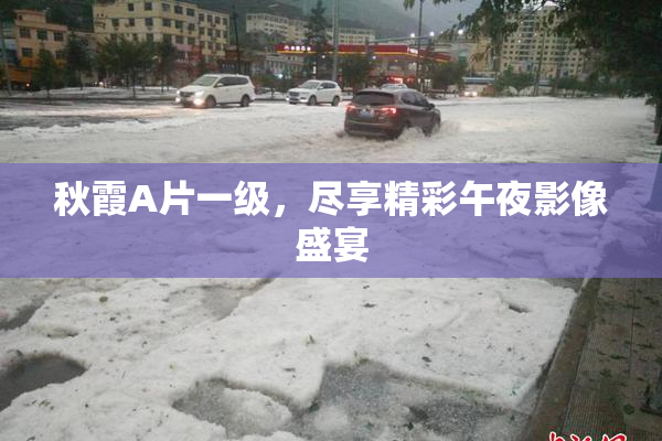 秋霞A片一级，尽享精彩午夜影像盛宴