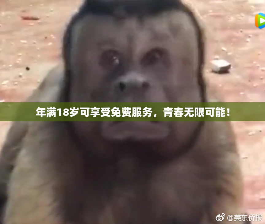 年满18岁可享受免费服务，青春无限可能！