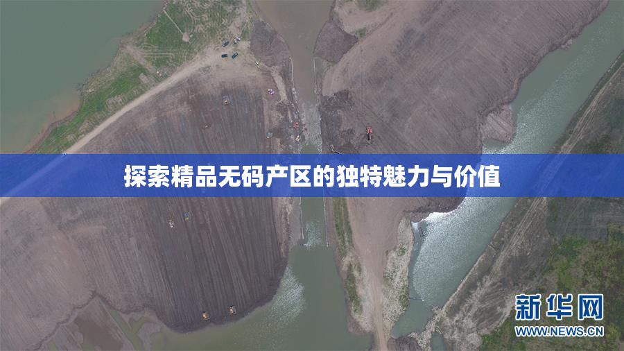 探索精品无码产区的独特魅力与价值