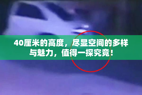 40厘米的高度，尽显空间的多样与魅力，值得一探究竟！