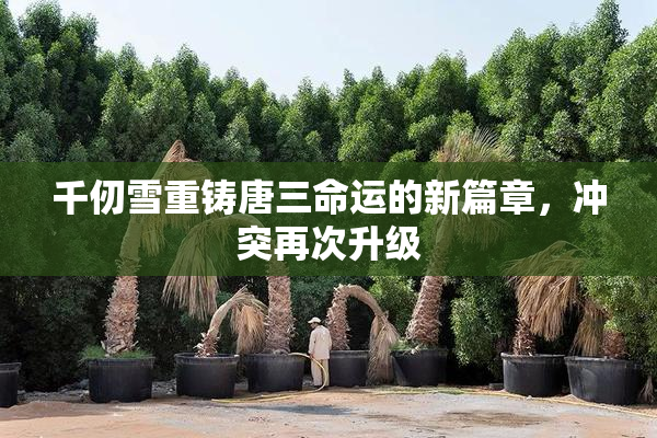 千仞雪重铸唐三命运的新篇章，冲突再次升级