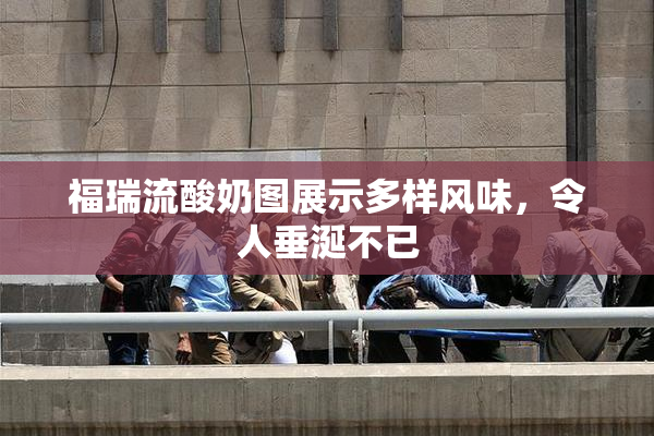 福瑞流酸奶图展示多样风味，令人垂涎不已
