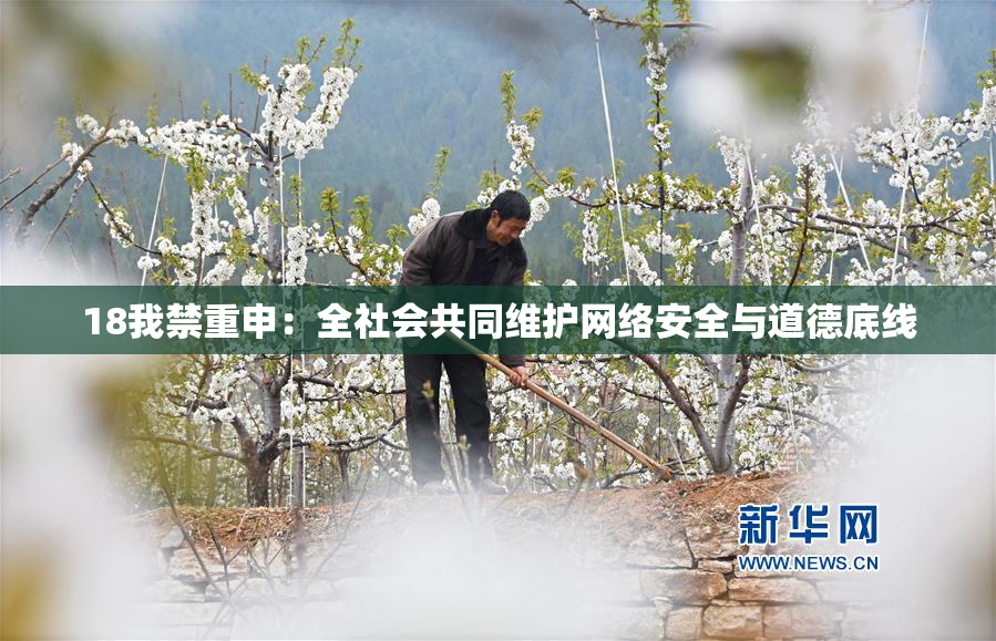 18我禁重申：全社会共同维护网络安全与道德底线