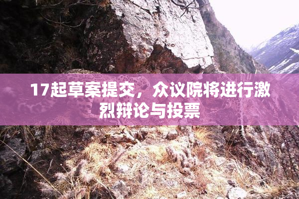 17起草案提交，众议院将进行激烈辩论与投票