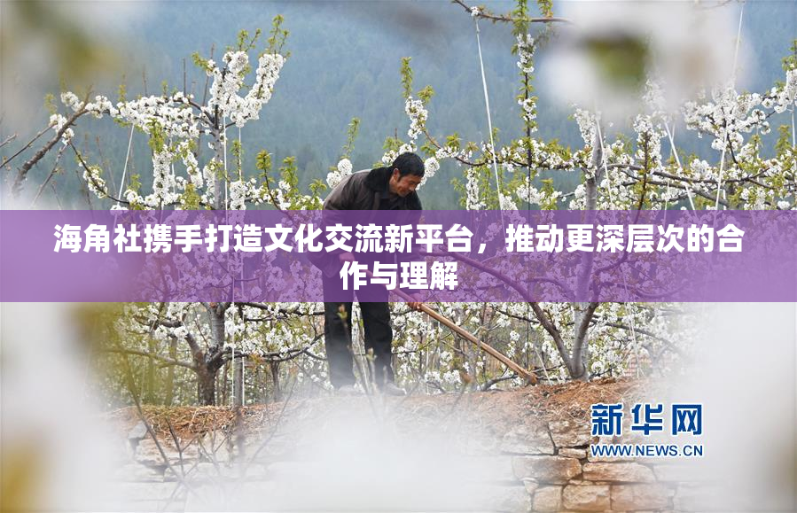 海角社携手打造文化交流新平台，推动更深层次的合作与理解