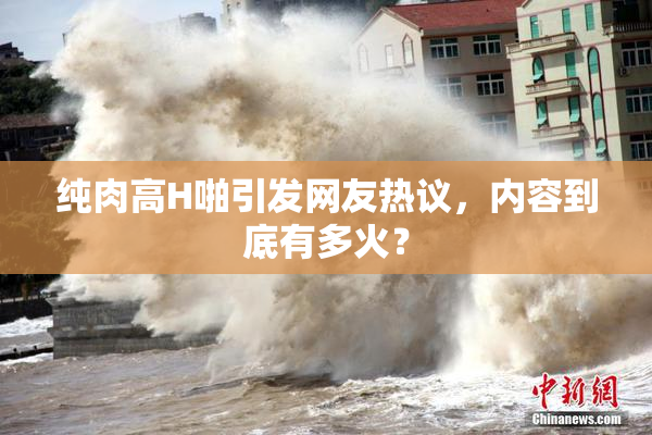 纯肉高H啪引发网友热议，内容到底有多火？
