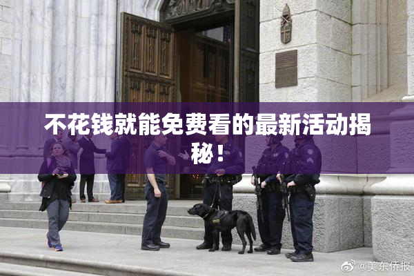 不花钱就能免费看的最新活动揭秘！