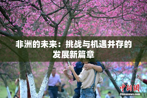 非洲的未来：挑战与机遇并存的发展新篇章
