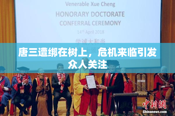 唐三遭绑在树上，危机来临引发众人关注