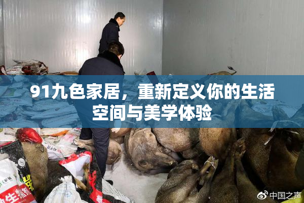 91九色家居，重新定义你的生活空间与美学体验