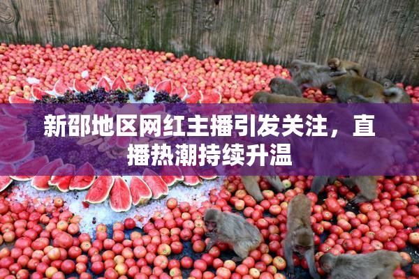 新邵地区网红主播引发关注，直播热潮持续升温