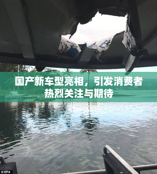 国产新车型亮相，引发消费者热烈关注与期待
