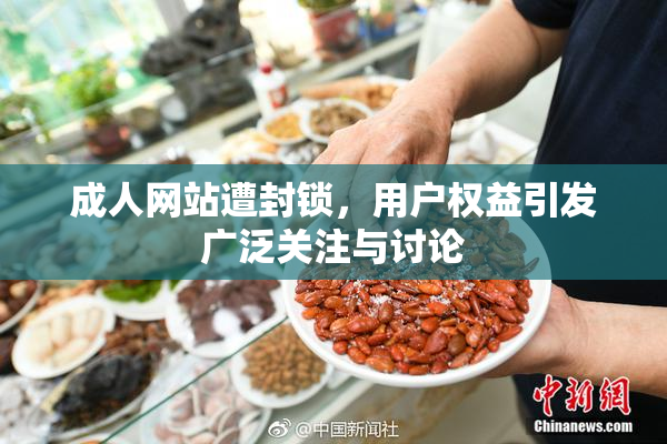 成人网站遭封锁，用户权益引发广泛关注与讨论