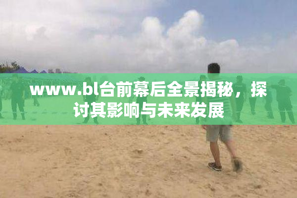 www.bl台前幕后全景揭秘，探讨其影响与未来发展