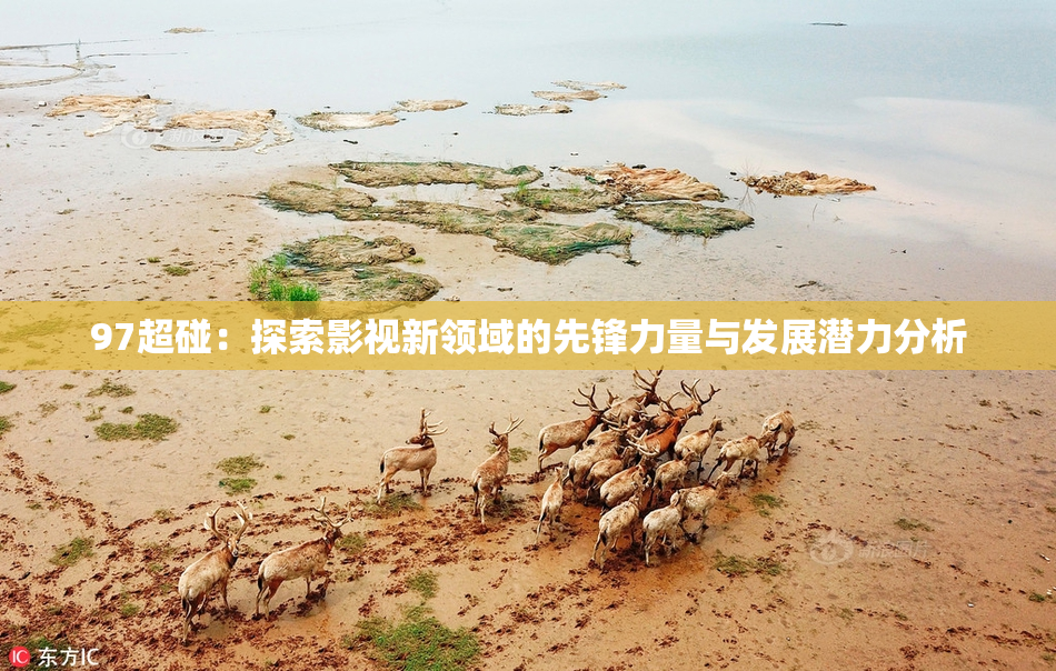 97超碰：探索影视新领域的先锋力量与发展潜力分析