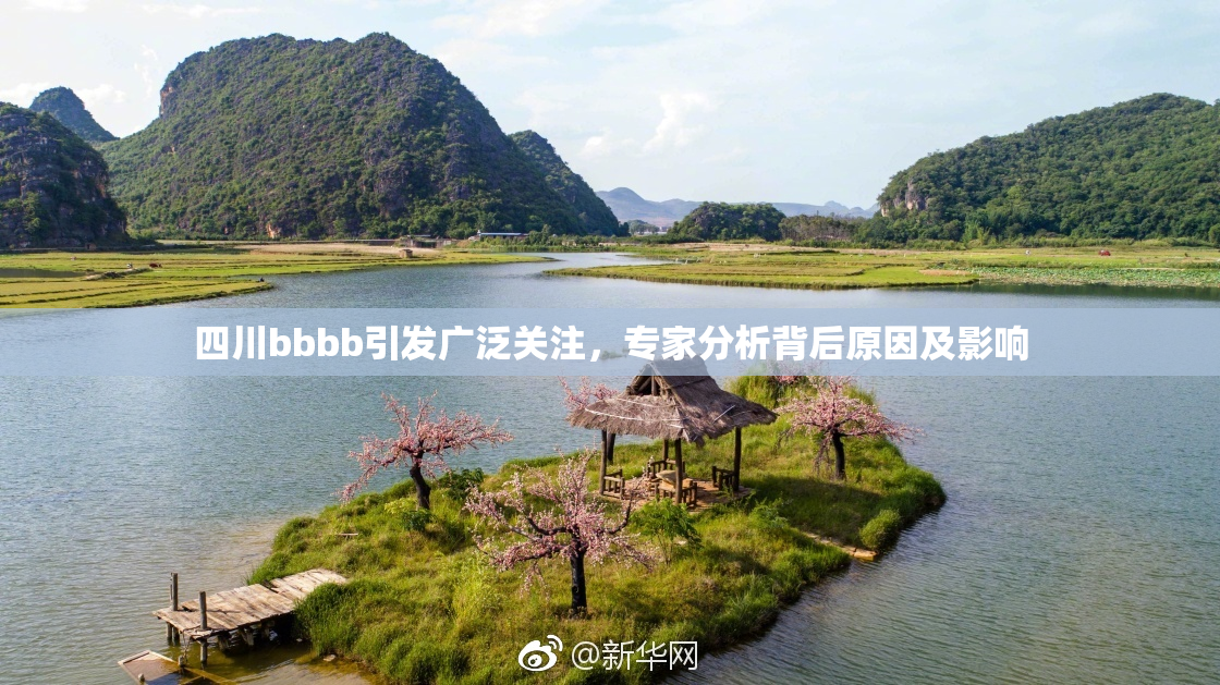 四川bbbb引发广泛关注，专家分析背后原因及影响