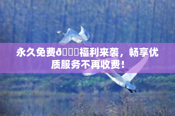 永久免费🔞福利来袭，畅享优质服务不再收费！