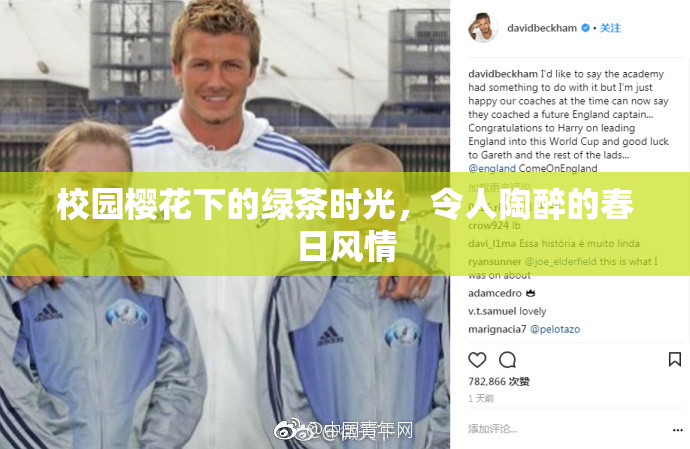 校园樱花下的绿茶时光，令人陶醉的春日风情