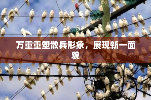 万重重塑散兵形象，展现新一面貌