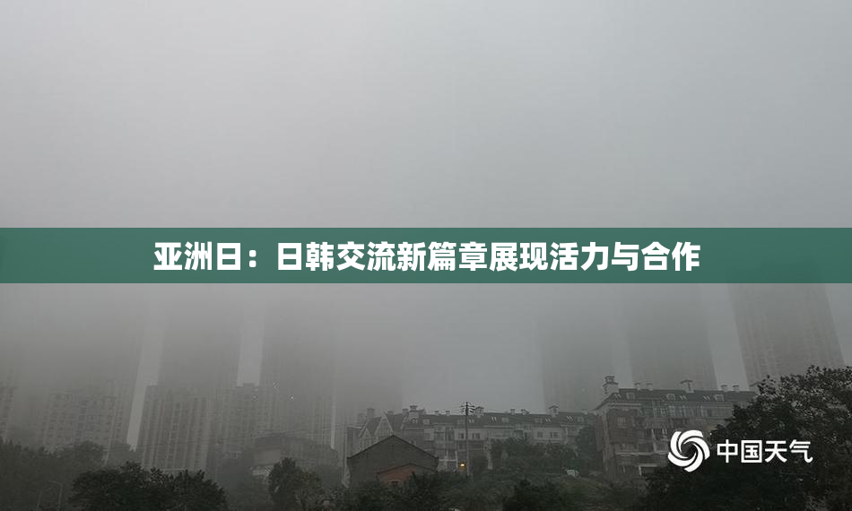 亚洲日：日韩交流新篇章展现活力与合作