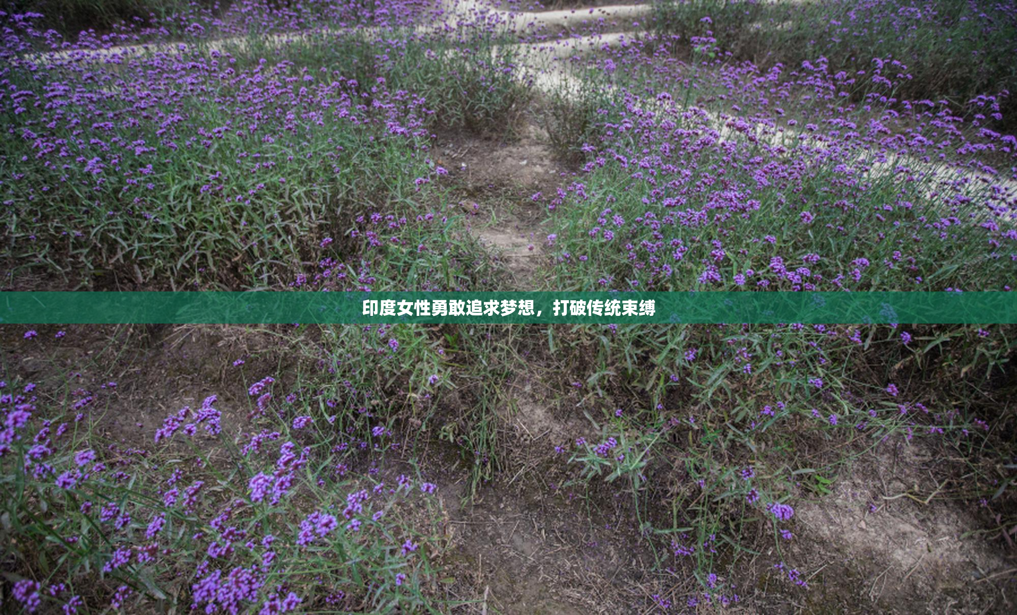 印度女性勇敢追求梦想，打破传统束缚