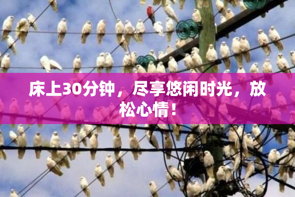 床上30分钟，尽享悠闲时光，放松心情！