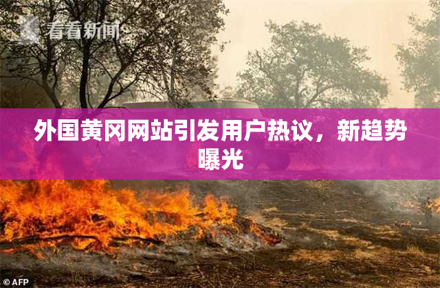外国黄冈网站引发用户热议，新趋势曝光