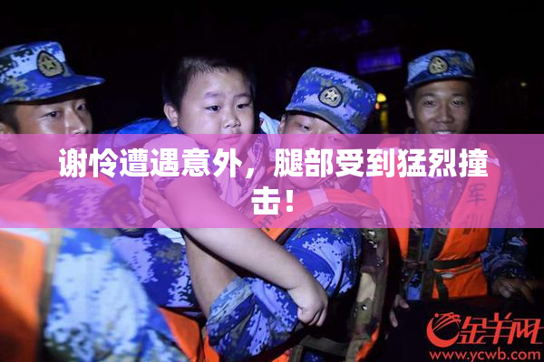 谢怜遭遇意外，腿部受到猛烈撞击！