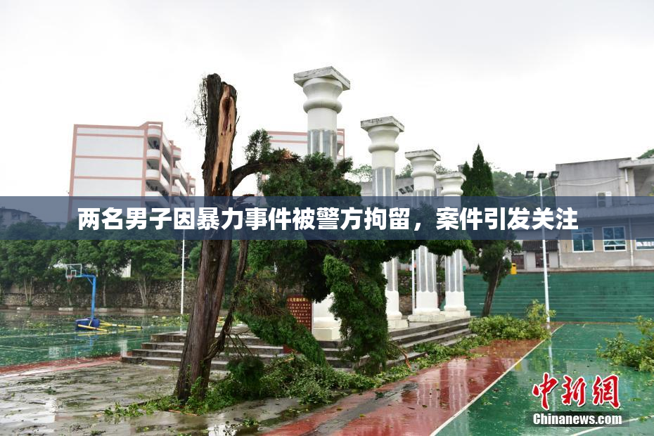 两名男子因暴力事件被警方拘留，案件引发关注