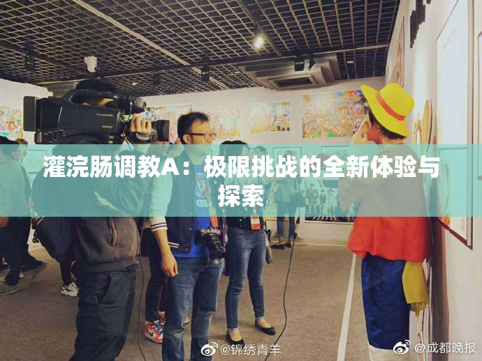 灌浣肠调教A：极限挑战的全新体验与探索