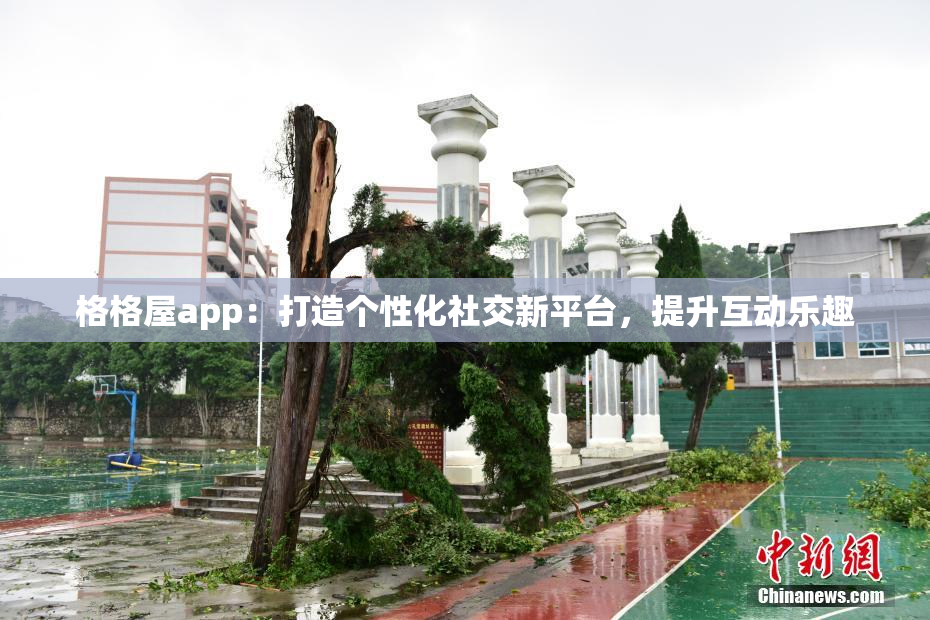 格格屋app：打造个性化社交新平台，提升互动乐趣