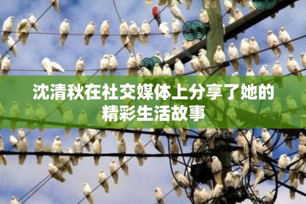 沈清秋在社交媒体上分享了她的精彩生活故事