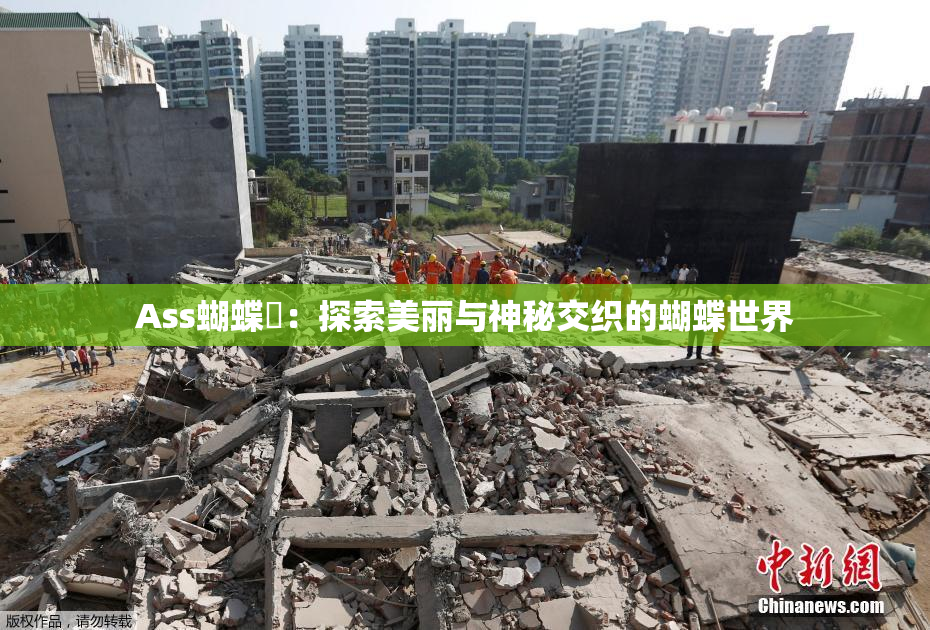 Ass蝴蝶泬：探索美丽与神秘交织的蝴蝶世界