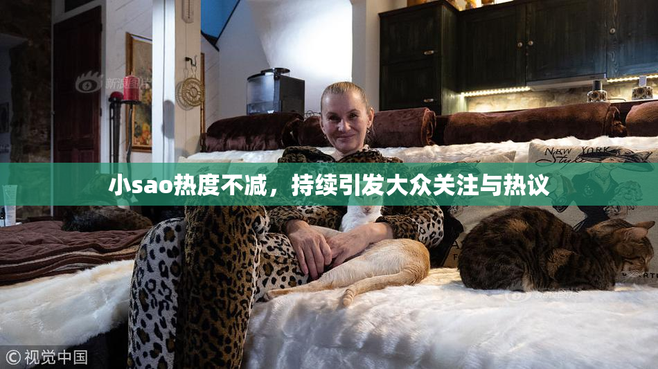小sao热度不减，持续引发大众关注与热议