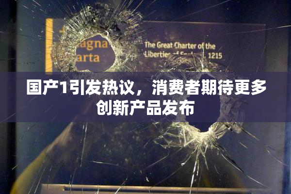 国产1引发热议，消费者期待更多创新产品发布