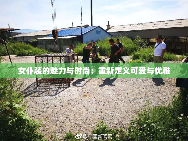 女仆装的魅力与时尚：重新定义可爱与优雅