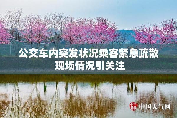 公交车内突发状况乘客紧急疏散 现场情况引关注