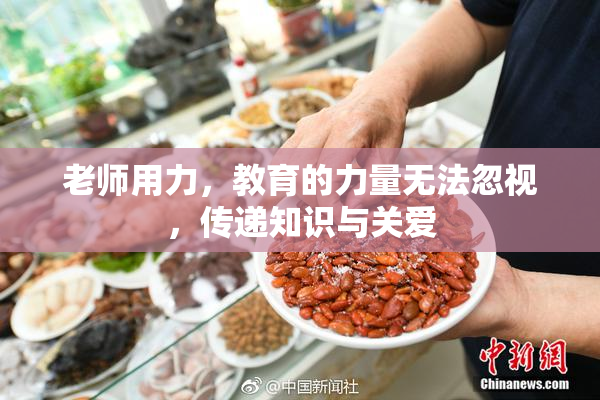 老师用力，教育的力量无法忽视，传递知识与关爱