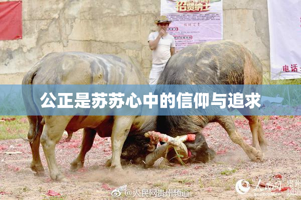 公正是苏苏心中的信仰与追求