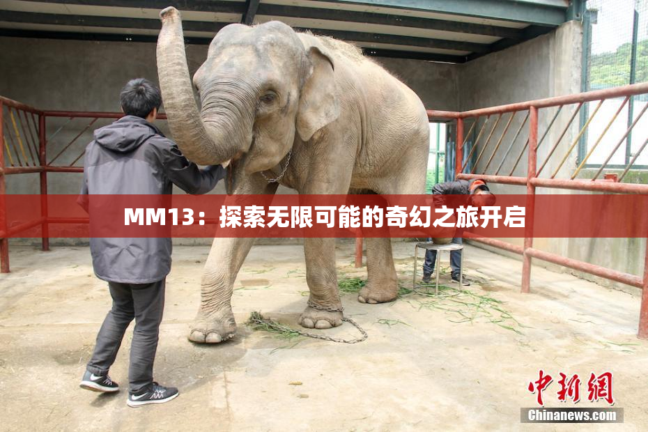 MM13：探索无限可能的奇幻之旅开启