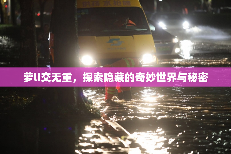 萝li交无重，探索隐藏的奇妙世界与秘密