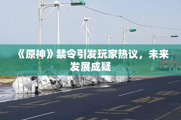 《原神》禁令引发玩家热议，未来发展成疑