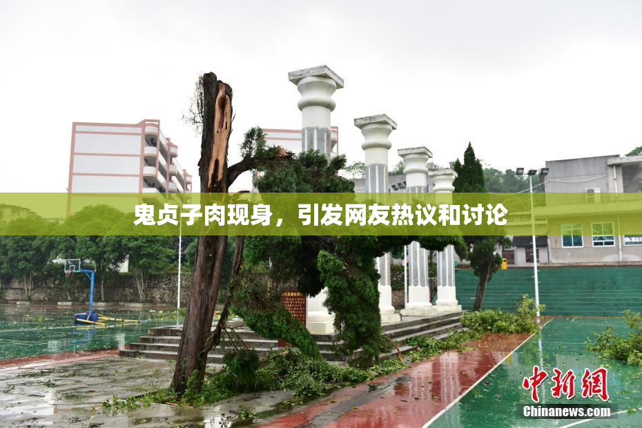 鬼贞子肉现身，引发网友热议和讨论