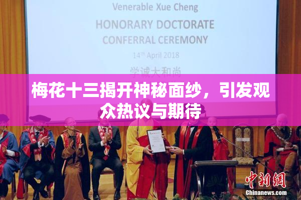梅花十三揭开神秘面纱，引发观众热议与期待