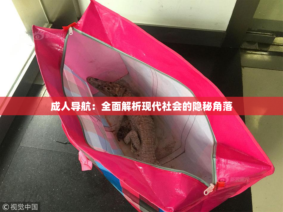 成人导航：全面解析现代社会的隐秘角落