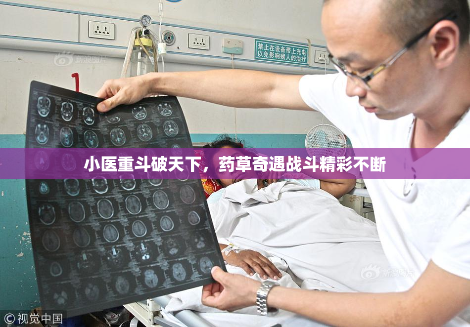 小医重斗破天下，药草奇遇战斗精彩不断