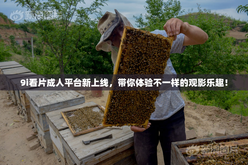 9i看片成人平台新上线，带你体验不一样的观影乐趣！