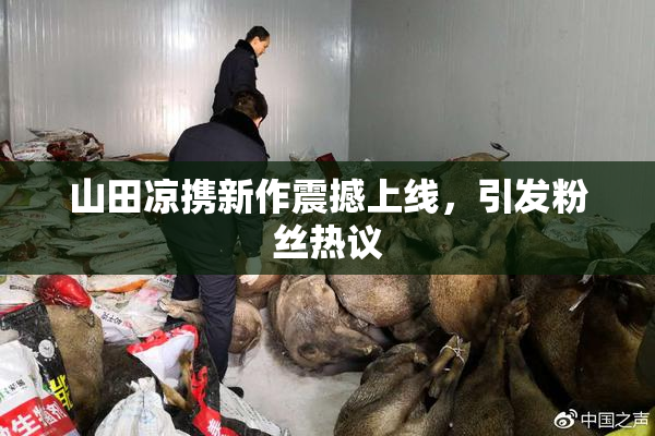 山田凉携新作震撼上线，引发粉丝热议